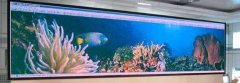 LED顯示屏和LED燈的區(qū)別在哪里？